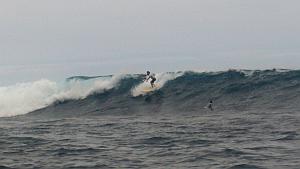 James MacLaren riding a wave at Chicken Hill, Galapagos Islands.